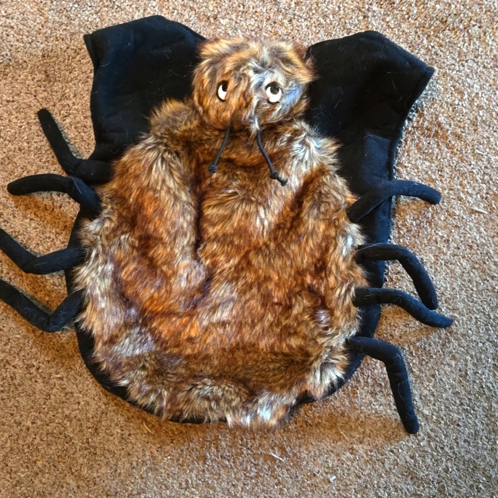 Dog costume